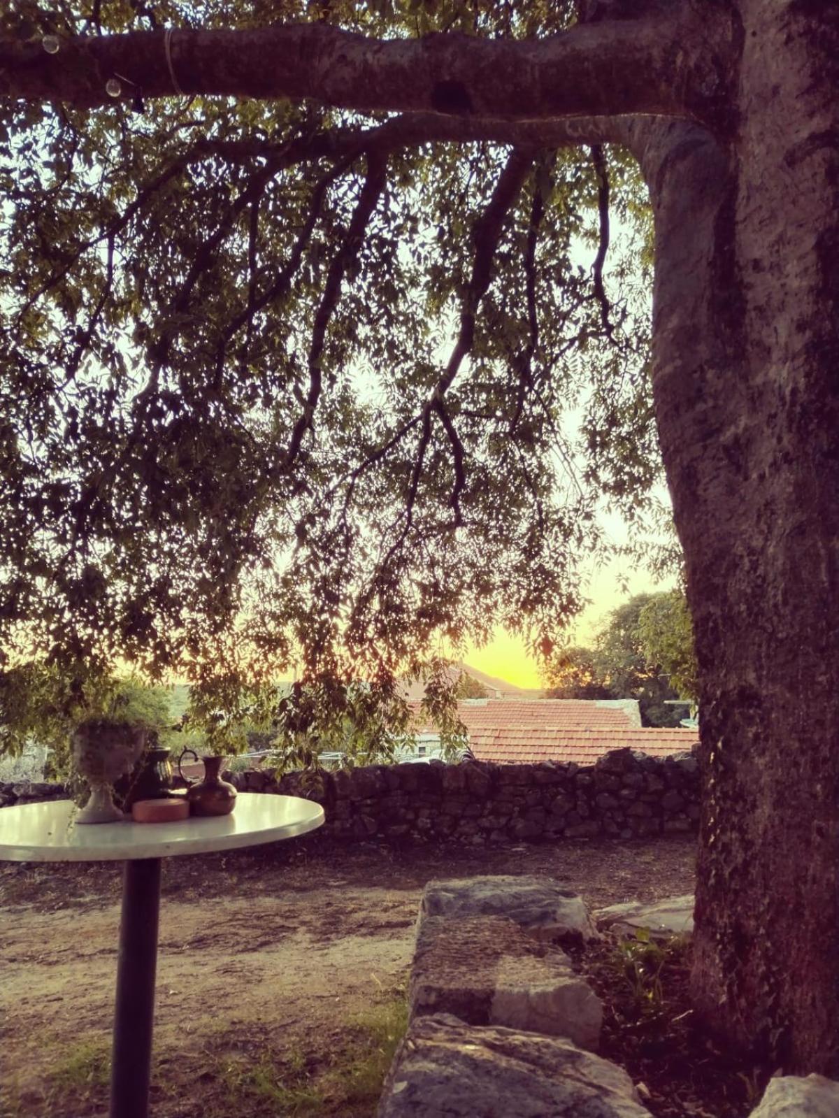 Holiday Home Mimara Korusce Dış mekan fotoğraf